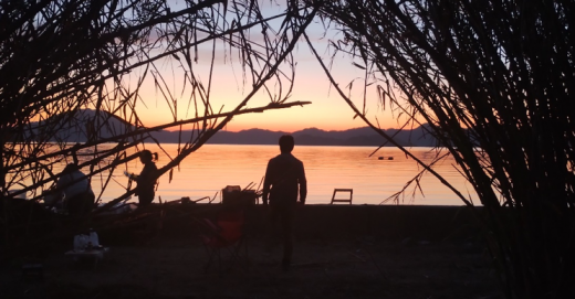 島の畑の探し方。耕作放棄地の開墾とレモンの定植。