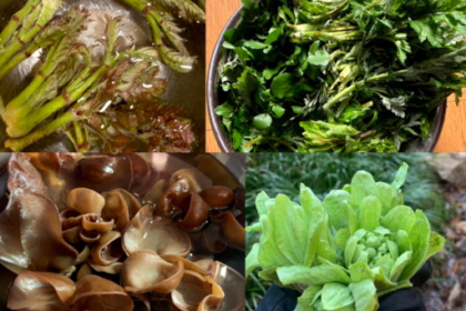 島の豊かな食生活 ―豊かさとは何か―